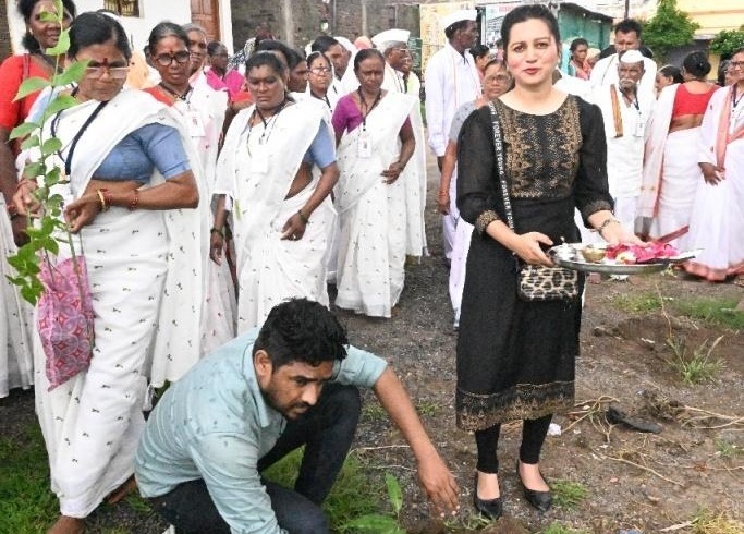 Tree Plantation